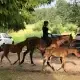 Zdjęcia użytkownika: Kamila Palacz